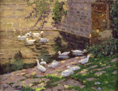 Enten auf einem Teich von George Rosenberg